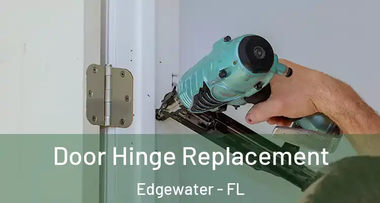  Door Hinge Replacement Edgewater - FL