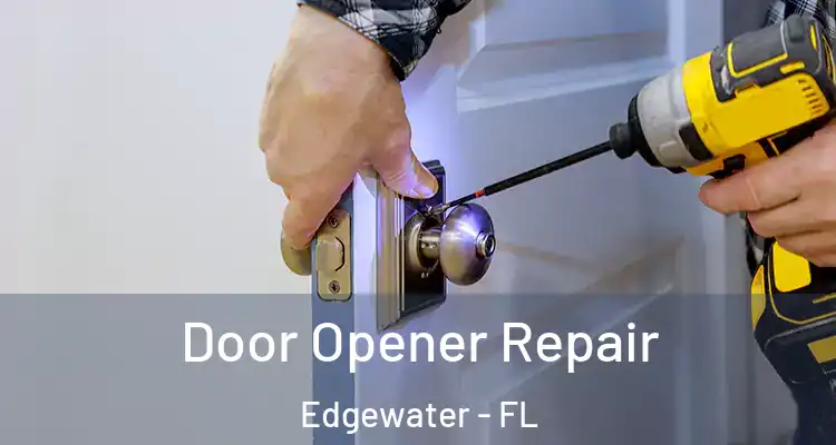  Door Opener Repair Edgewater - FL