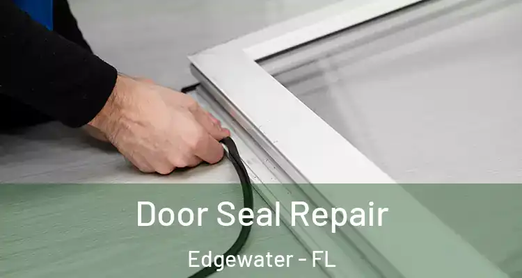  Door Seal Repair Edgewater - FL