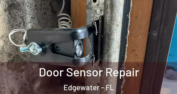  Door Sensor Repair Edgewater - FL