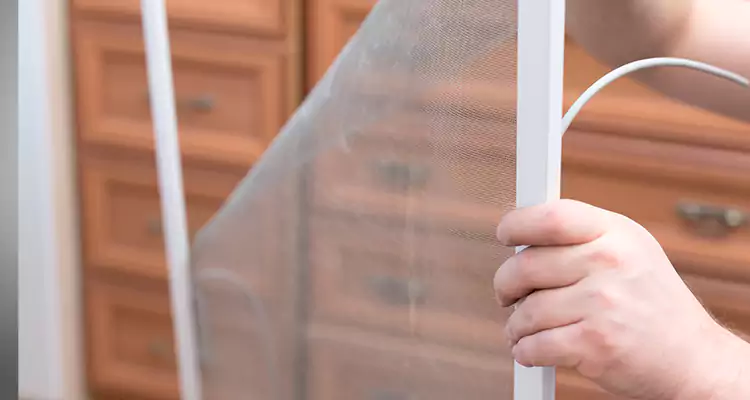 Privacy Mesh Screen Door Installation in Edgewater, FL