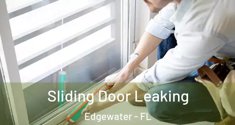  Sliding Door Leaking Edgewater - FL